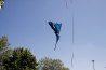 _MG_8796.jpg